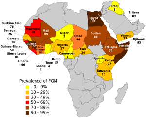 FGM: Coming to a Community Near You?