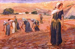 Ruth at work with other gleaners