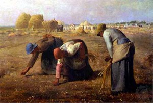 gleaners given work in Old Testament