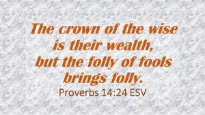 The crown of the wise is their wealth