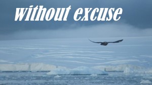 without excuse
