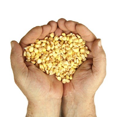 remnant is the seed corn