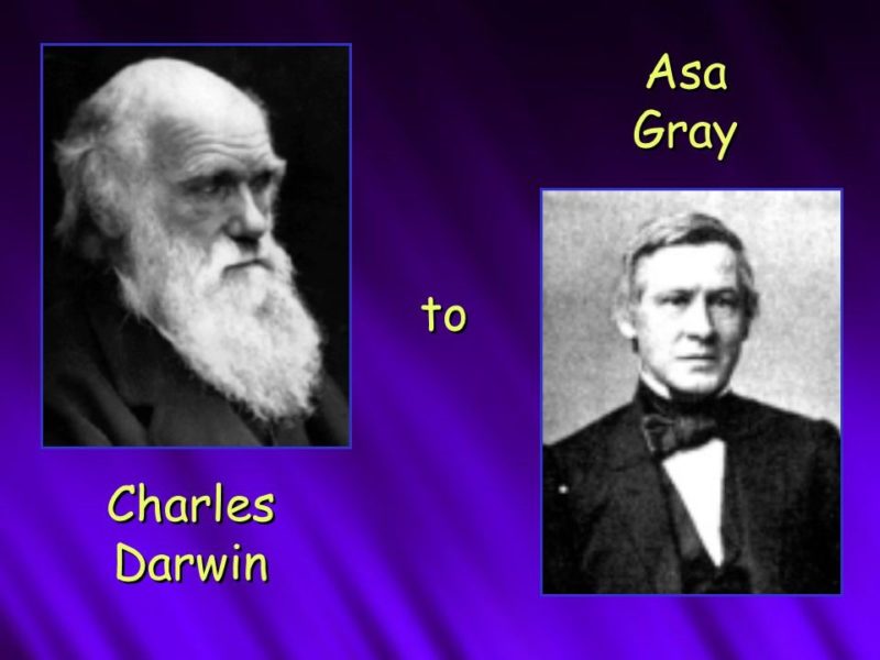 Charles Darwin wrote to Asa Gray