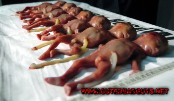 aborted babies the Nazi legacy