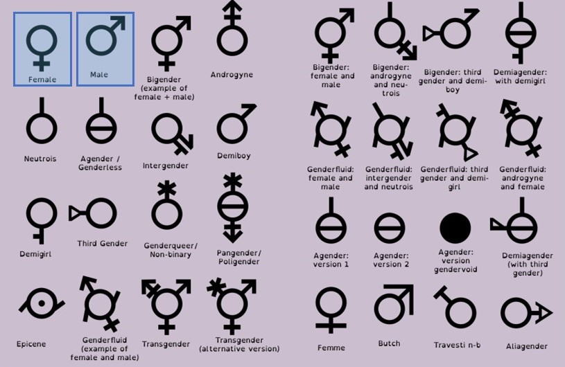 Is BINARY SEXUALITY passe? 