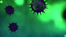 Coronavirus magnified